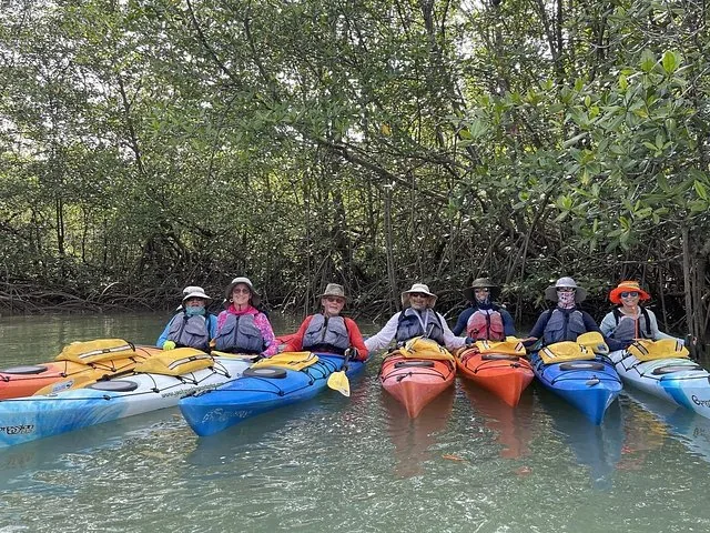 Un grupo de personas sentadas en kayaks en fila en un bosque de manglares.