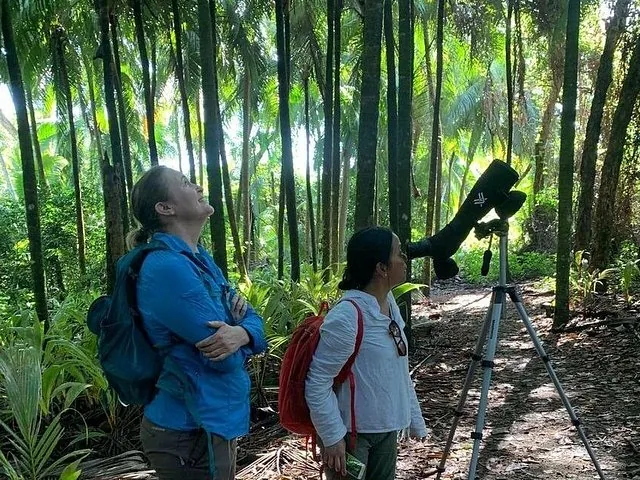 Dos personas observando aves en un bosque denso; una usa un telescopio.