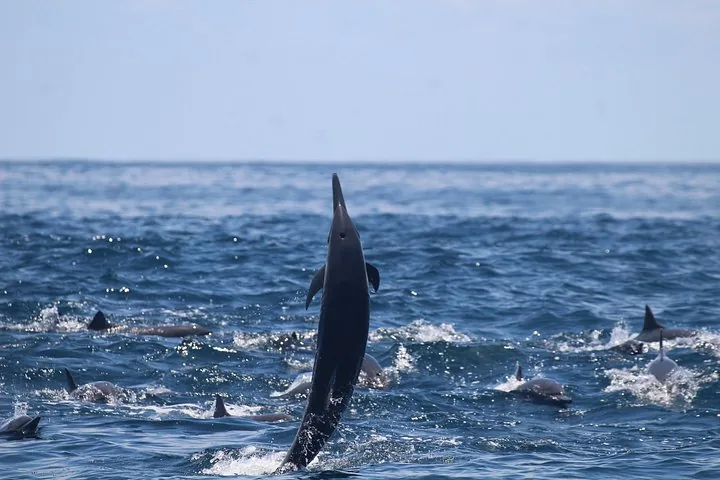Foto del tour
