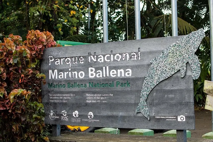 Un cartel de madera dice Parque Nacional Marino Ballena con una silueta de ballena recortada.