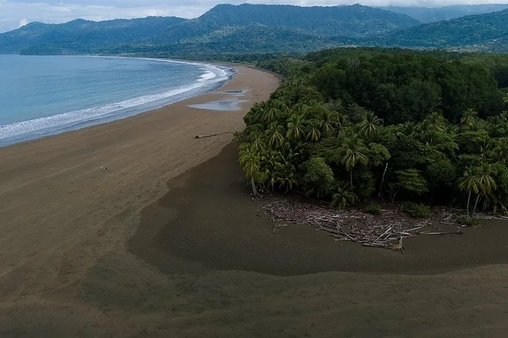 Vista aérea de una larga playa de arena bordeada por una densa selva verde.